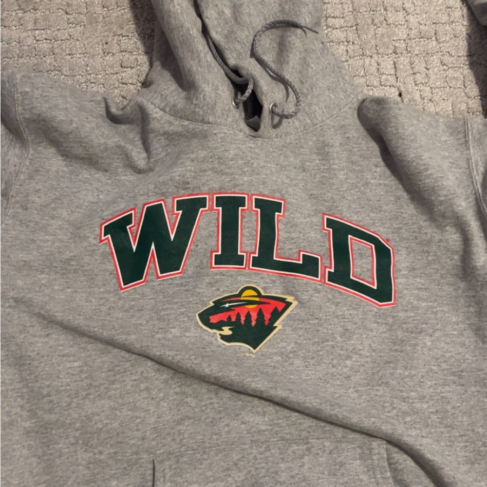 Gray Hanes Hoodie with Green and Red Accents